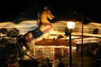 IMG 0768