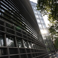 IMG 0850