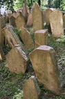 IMG 0059