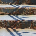IMG 0546