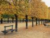 At the Tuileries garden - 1