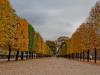 At the Tuileries garden - 2
