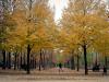 At the Tuileries garden - 5